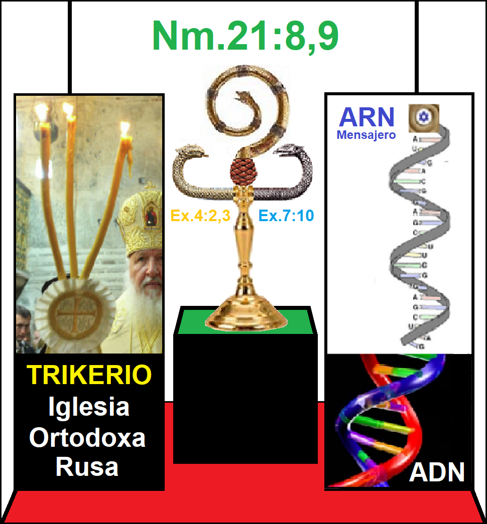 Imperio mundial de la profecia